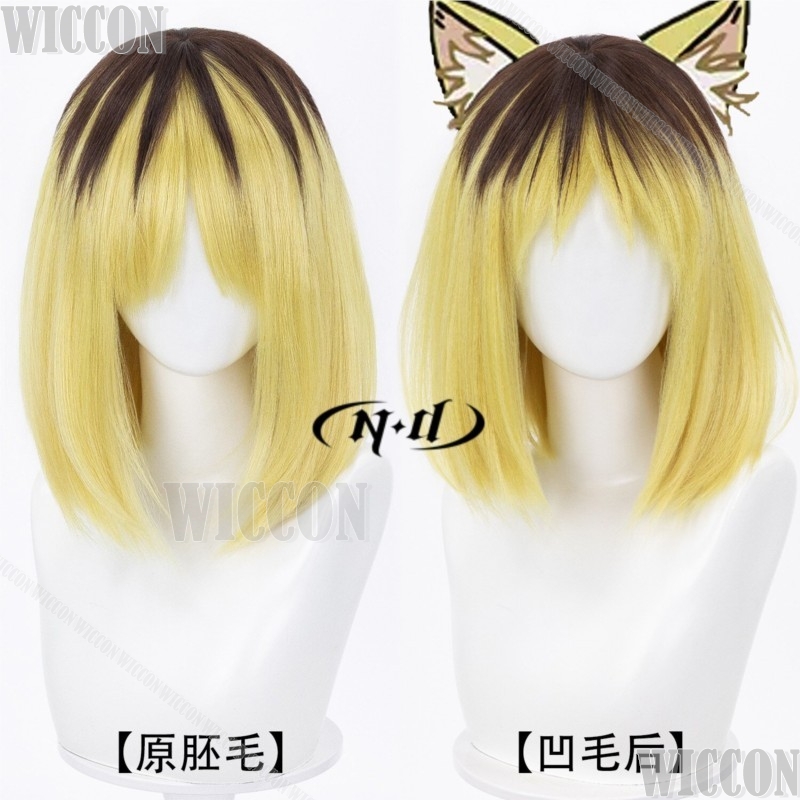 Yanineko Hamenko 2026 Anime Ch - Anime Cosplay Events 2026 review and price